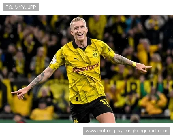 罗伊斯组织串联,多特前场衔接更顺畅